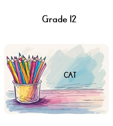 Grade 12 CAT