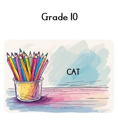 Grade 10 CAT